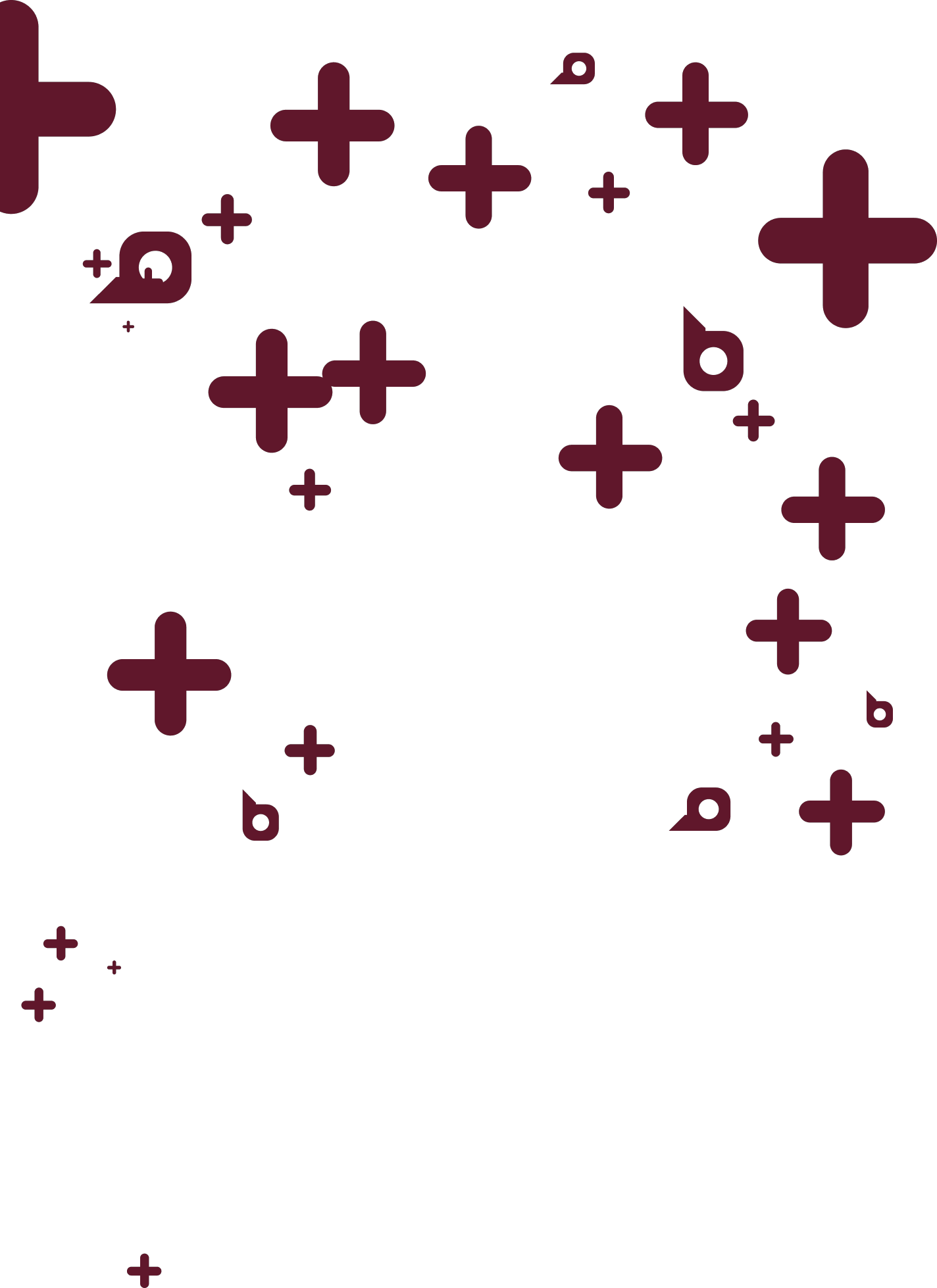 Автоматизация процесса вяления мяса