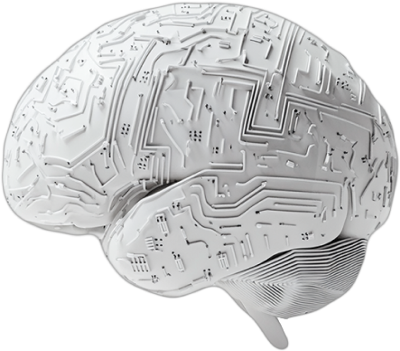 AI анализ готовности вяленого мяса